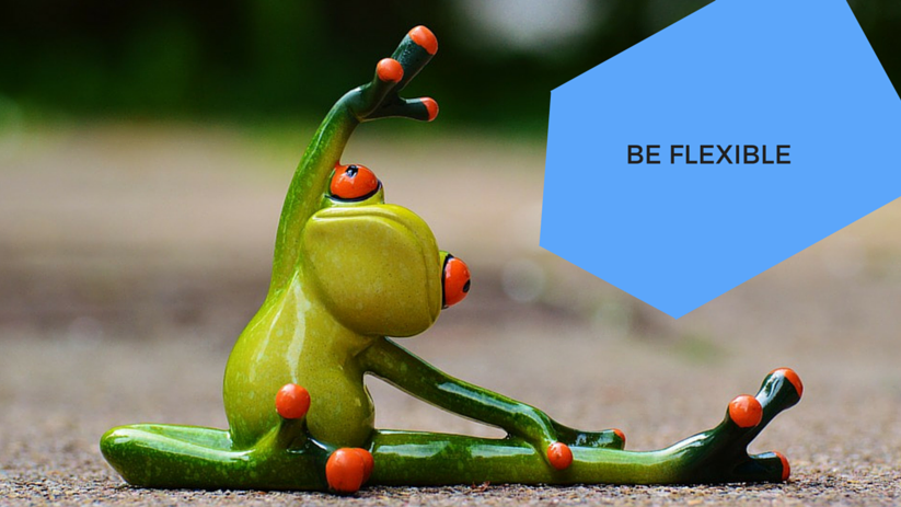 flexible_frog