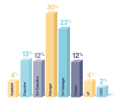 What level are you at in your career?