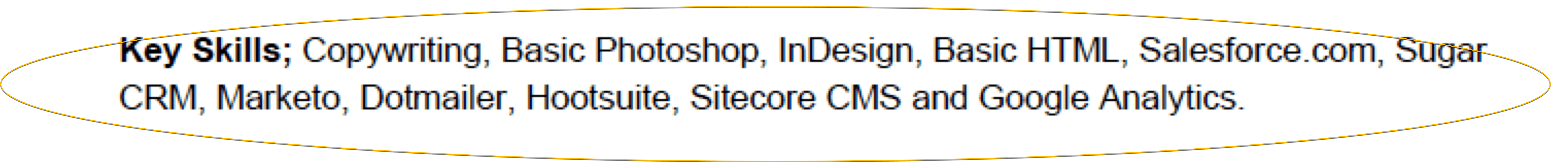 example of a technical marketing skills section on a CV